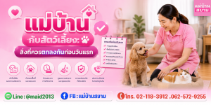 แม่บ้านกับสัตว์เลี้ยงควรมีข้อตกลงก่อนเริ่มงานให้ชัดเจน|กฎบ้านเรื่องสัตว์เลี้ยงและความปลอดภัยสัตว์เลี้ยงที่ควรคุยก่อนวันแรก