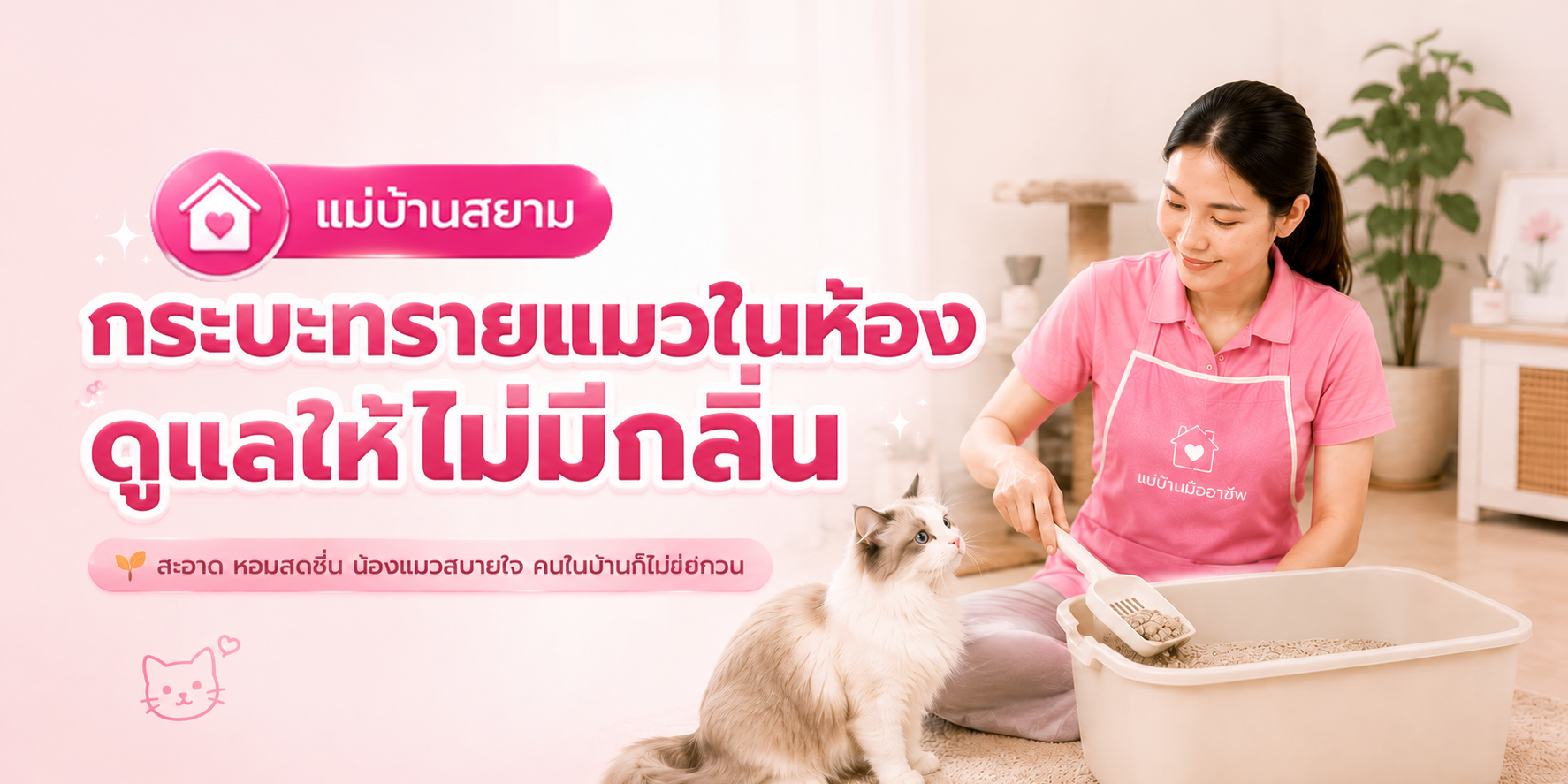 ดูแลกระบะทรายแมวในห้อง