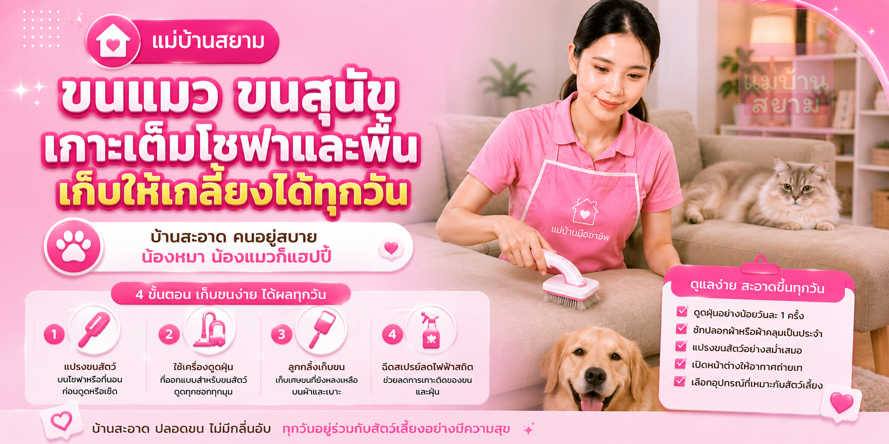 เก็บขนแมวขนสุนัขบนโซฟา