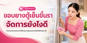 ขอบยางตู้เย็นขึ้นรา ใช้อะไรเช็ด