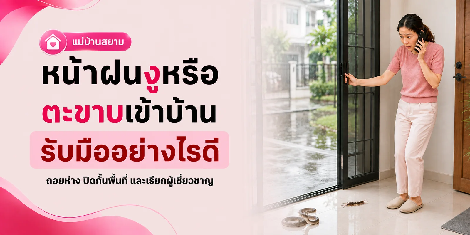 งูหรือตะขาบเข้าบ้านหน้าฝน รับมืออย่างไรดี