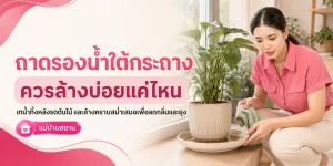 การล้างถาดรองน้ำใต้กระถาง