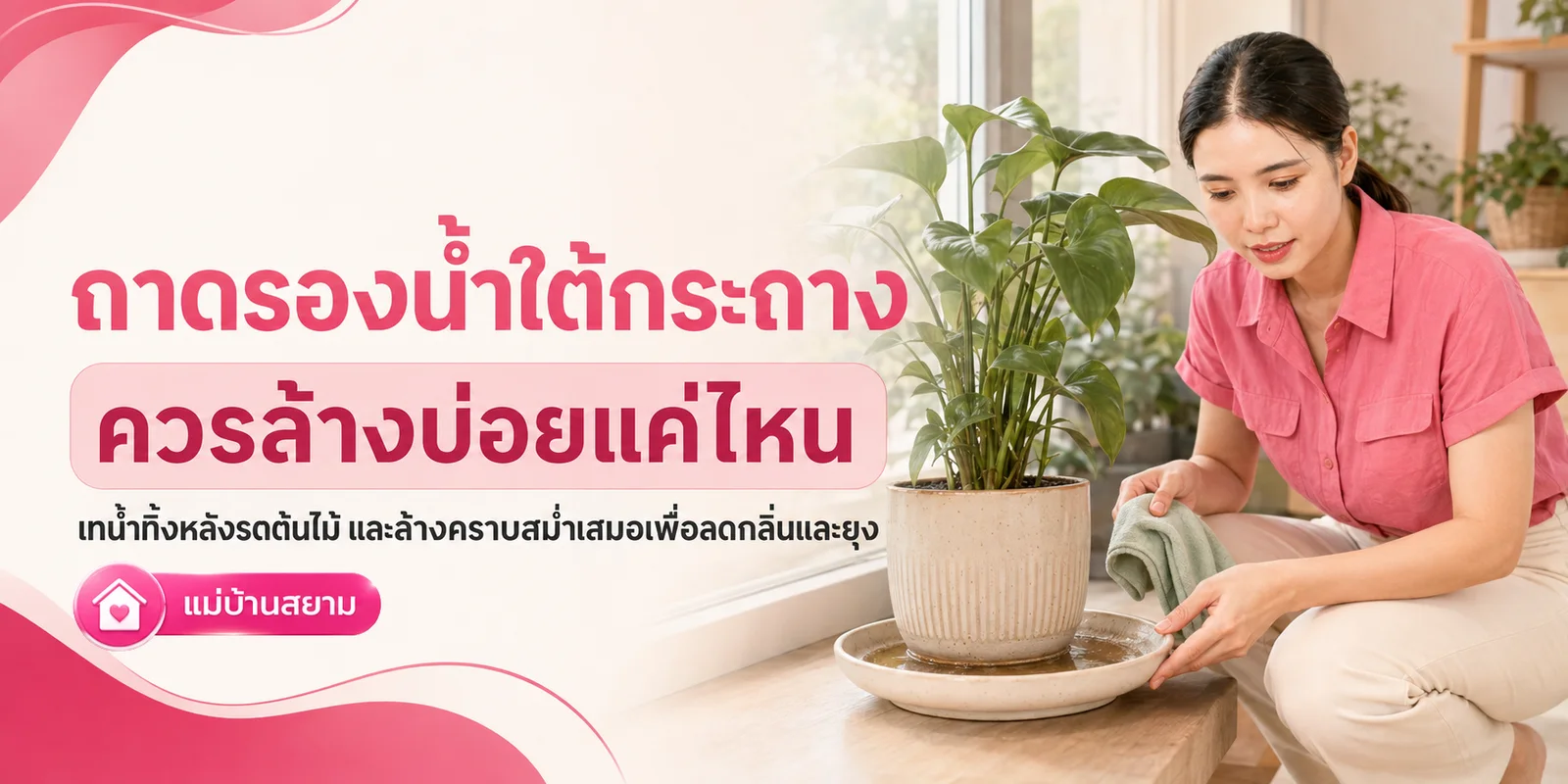 การล้างถาดรองน้ำใต้กระถาง