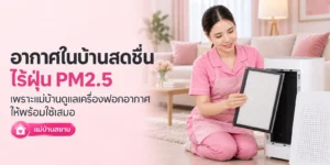 อากาศในบ้านไร้ฝุ่น ด้วยแม่บ้านดูแลเครื่องฟอกอากาศ