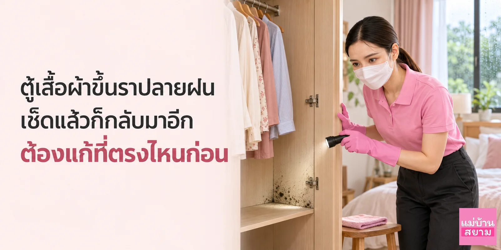ตู้เสื้อผ้าขึ้นราปลายฝนเช็ดแล้วก็กลับมา